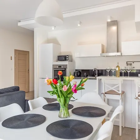 Meiguan With Huge Terrace + Extra 2 Parking Spots Gdansk